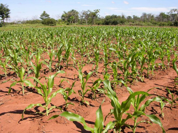 Termo de Cooperação garante mais de 2,4 milhões para Agricultura Familiar