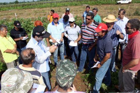 Videoconferência incrementa ações na agricultura familiar