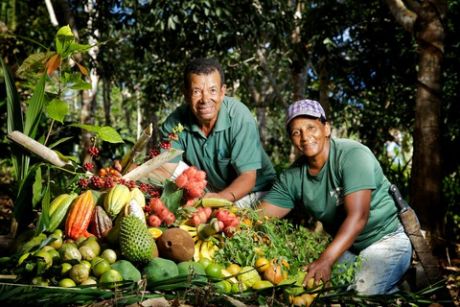 Chamada Pública vai atender agricultores familiares em situação de extrema pobreza em Mato Grosso