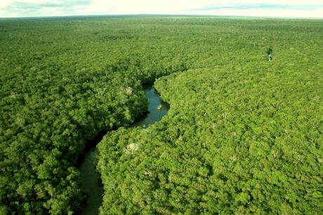 Mato Grosso é um dos destaques do Seminário de Desenvolvimento Sustentável