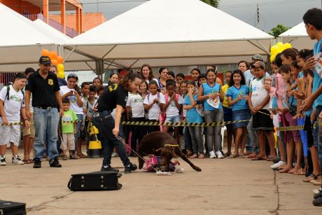 Cães farejadores da DRE são atração na XI Semana Estadual de Prevenção às Drogas.