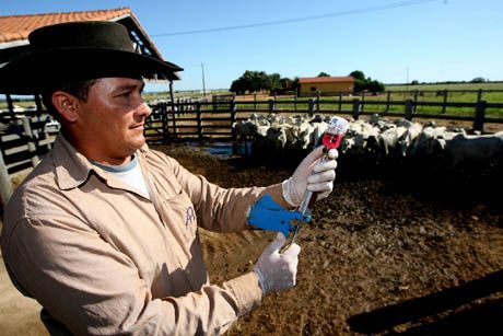 Silval conclama pecuaristas a participarem da campanha contra aftosa no 